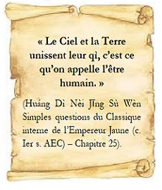 Pr�sentation mtc Reims Maxime Trichot